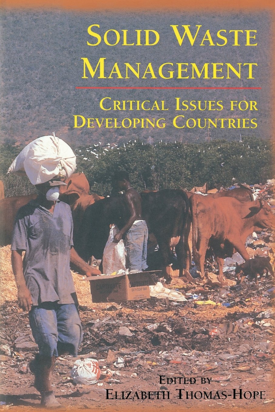 Solid waste management - critical issues for developing countries